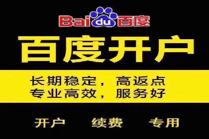 案例分析：SEM优化助力电商销量增长